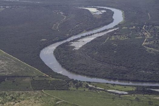 Relatório SOS Mata Atlântica revela que 75% dos rios estão em condições regulares