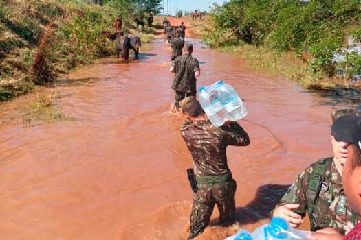 Agro SP Solidário: Agronegócio paulista promove campanha emergencial para o Rio Grande do Sul