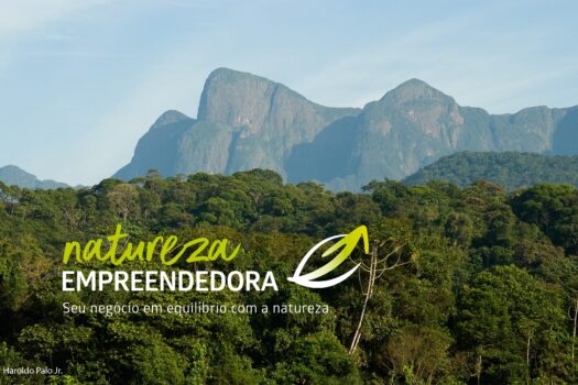 Fundação Grupo Boticário e Sebrae/PR anunciam nova edição do Programa Natureza Empreendedora