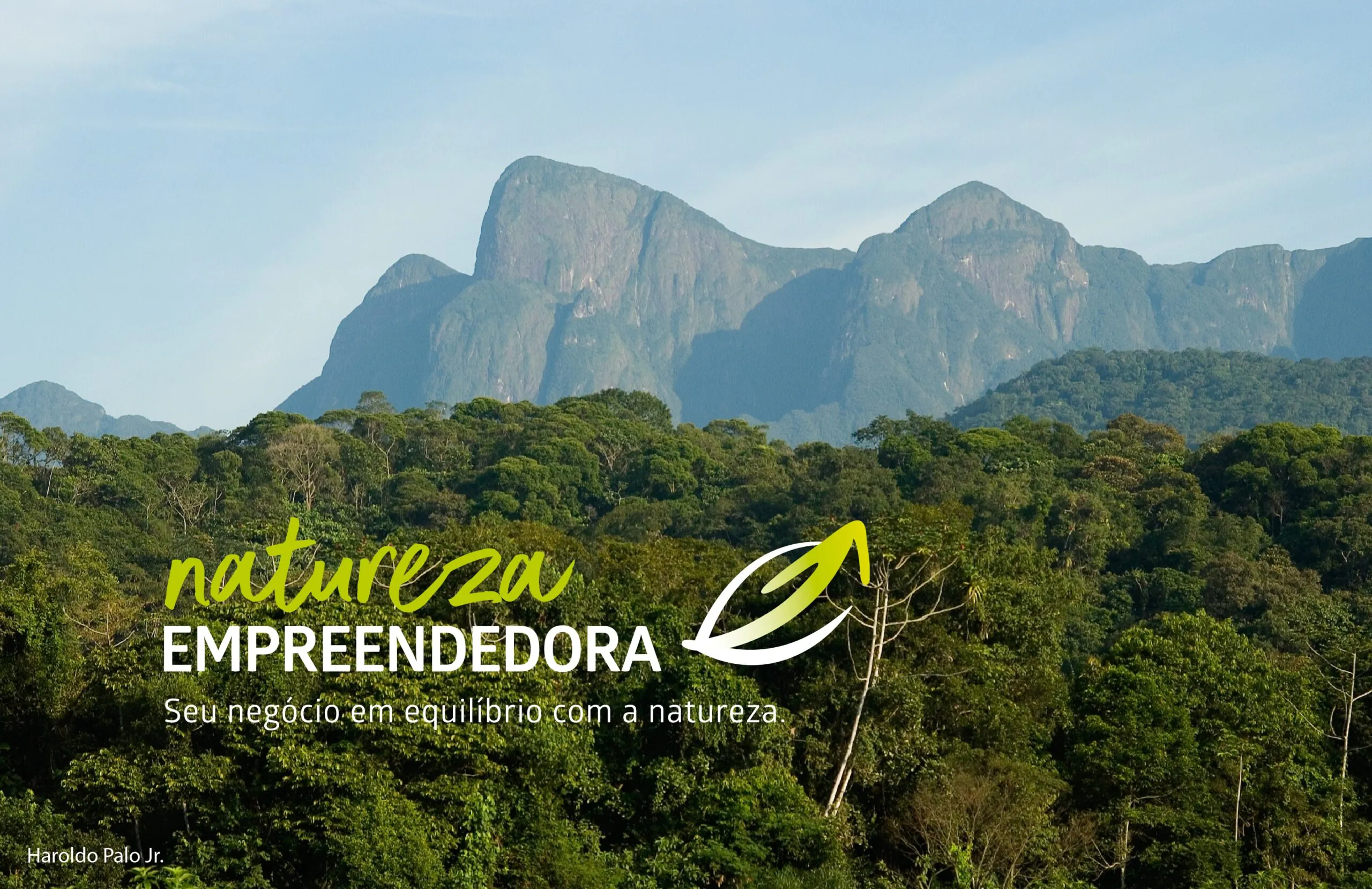 natureza empreendedora