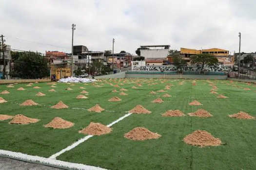 Diadema entrega novo gramado do Campo do Ouro Verde durante final de campeonato