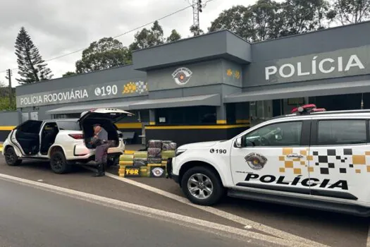 Homem é preso com 600 kg de maconha em Presidente Prudente