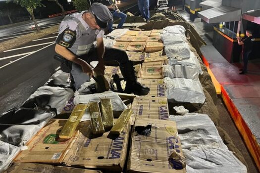 Policias Civil e Militar apreendem 2,5 toneladas de maconha em Santa Mercedes