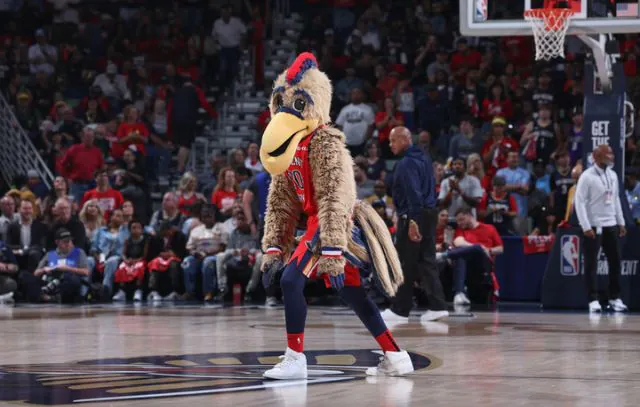 Pierre The Pelican - NBA House