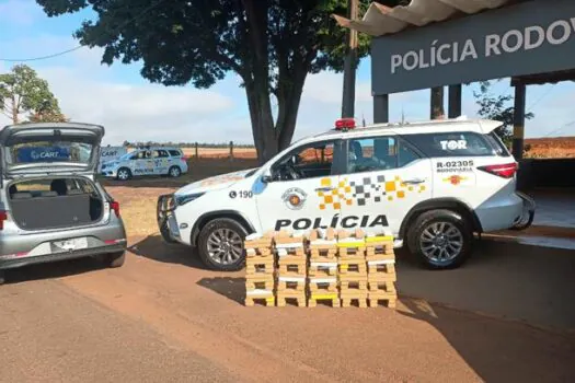 PM Rodoviária prende homem com 119 Kg de maconha no interior de SP