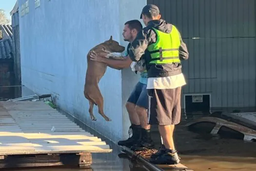 Causa Animal – Urgência Humanitária: Rio Grande do Sul