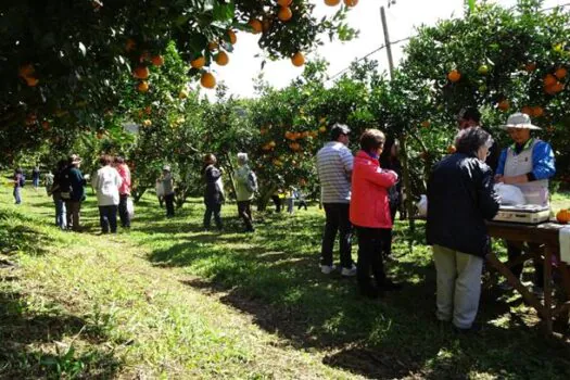 Turismo de SP lança guia com 70 destinos para viajantes 60+