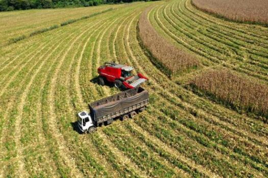 Superávit do Agro Paulista cresce 9,25% no acumulado de 2024