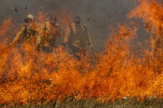 Pantanal acumula em 12 meses mais de 9 mil focos de incêndio