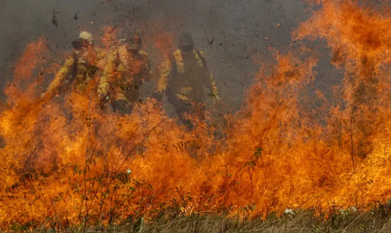 incendio-pantanal