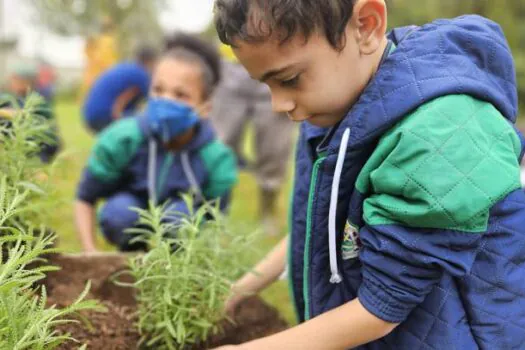 Ribeirão Pires celebra o Dia Mundial do Meio Ambiente com Plantio de mudas e educação ambiental