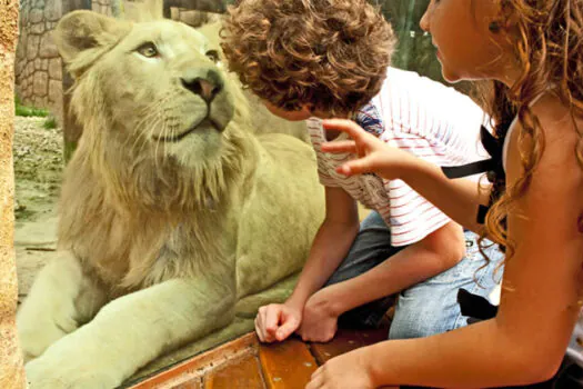 Beto Carrero World acaba com seu zoológico após 32 anos