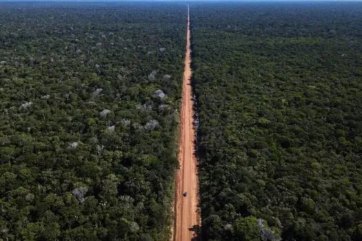 BR-319: Relatório não apresenta plano concreto contra impactos socioambientais nas obras