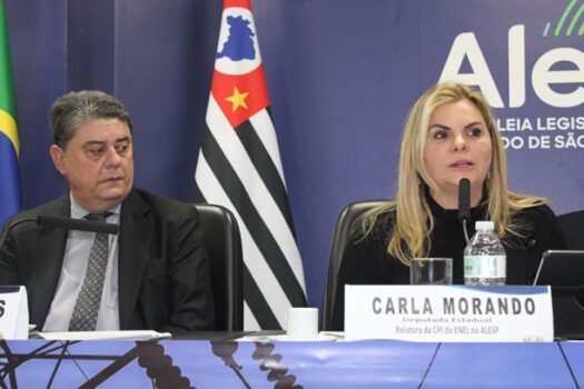 Carla Morando participa de Audiência Pública sobre a Qualidade do Serviço de Energia Elétrica na região de SP