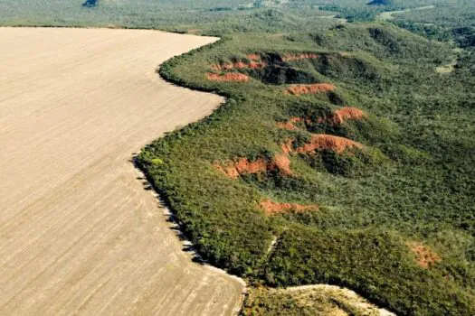 Desmatamento no cerrado desacelera, e governo alerta para seca e fogo no pantanal