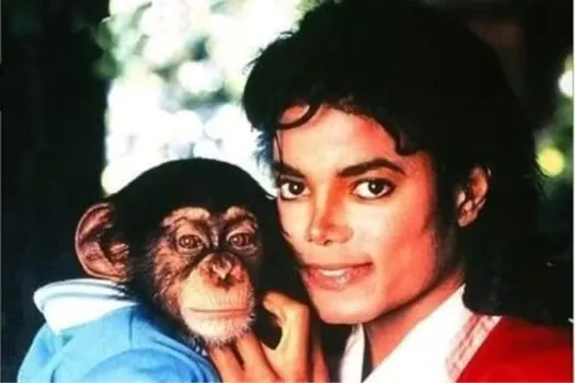 Chimpanzé de Michael Jackson recebeu herança e vive em santuário de luxo