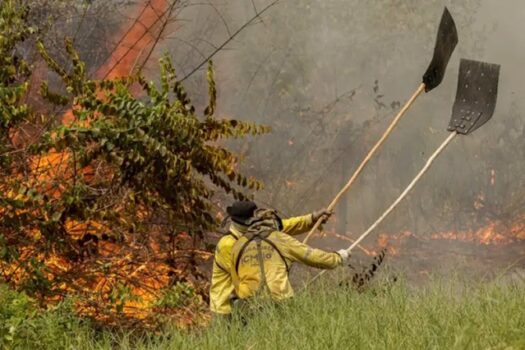 Combate a incêndios no Pantanal ganha reforço de 80 brigadistas da Força Nacional