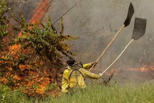 PF investiga 52 incêndios no Brasil, mas não vê ação orquestrada até agora