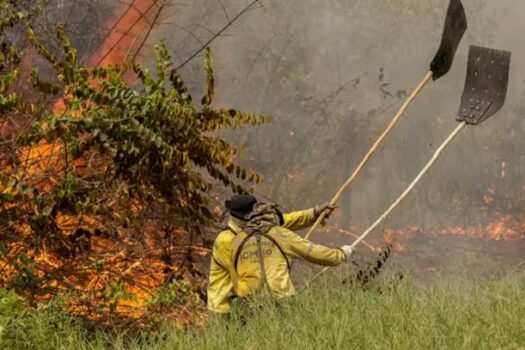 Ibama autoriza contratação de brigadas para combater incêndios florestais