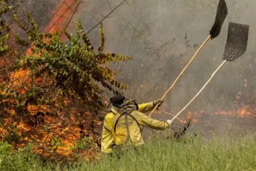 SP registrou 2.316 focos de incêndio nas últimas 48 horas