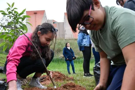 Dia do Meio Ambiente: Conheça escolas que desenvolvem projetos de consciência climática