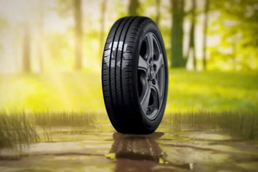 Dunlop Pneus engaja colaboradores com ações sustentáveis no mês de junho