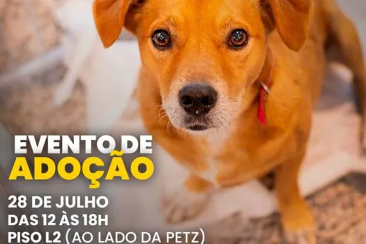 Golden Square Shopping promove Feira de Adoção de Animais