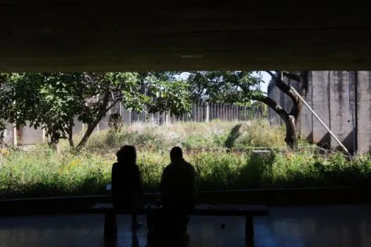 Professores de universidades federais começam a abandonar greve, contrariando sindicato