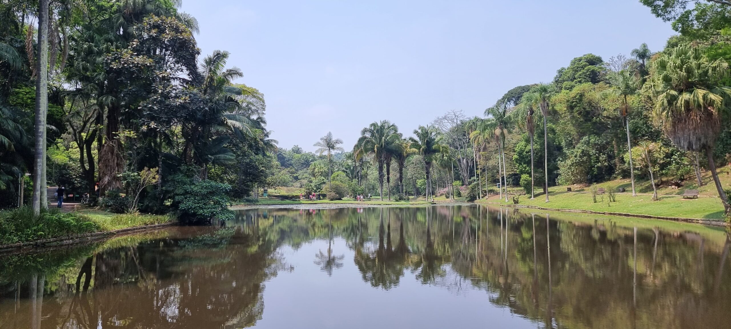 jardim-botanico-de-sp