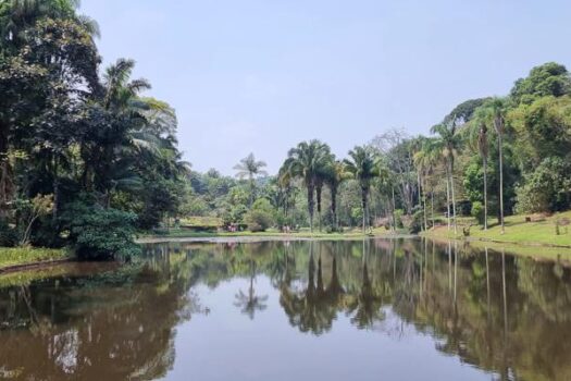 Jardim Botânico passa a coletar totalmente o esgoto gerado no local pela primeira vez na história