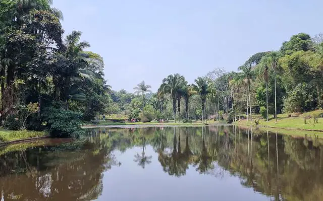 jardim-botanico-sp