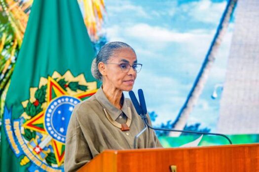 Ministra Marina Silva apresenta balanço de ações de preservação ambiental