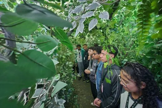 SP promove ações com estudantes para formar cidadãos conscientes sobre o meio ambiente