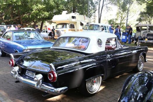 Edição de junho do evento ‘Bosque Old Cars’ acontece no próximo domingo