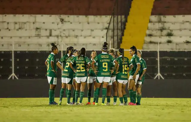 palmeiras-fem