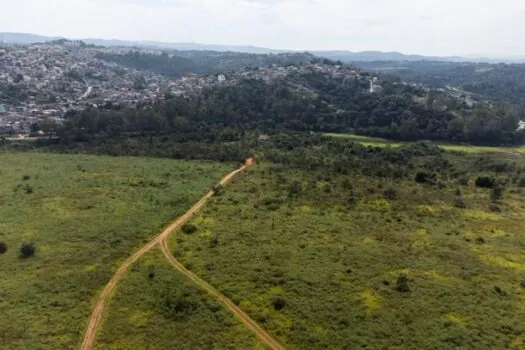 Parque do Juquery: as lições deixadas pelo combate ao incêndio que durou 4 dias