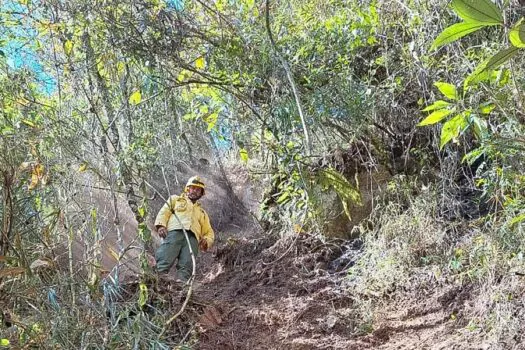 ICMBio multa Exército em 6,5 milhões por incêndio florestal em parque