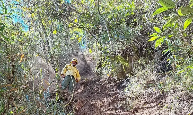 parque-nacional-itatiaia