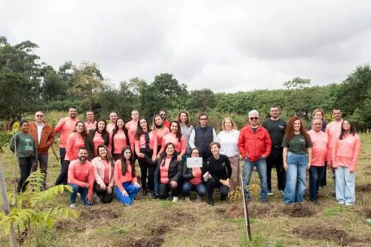 Avène e CBVela plantam mais de 400 árvores em prol da sustentabilidade