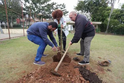 Parque de Santo André recebe plantio de mudas no Dia Mundial do Meio Ambiente