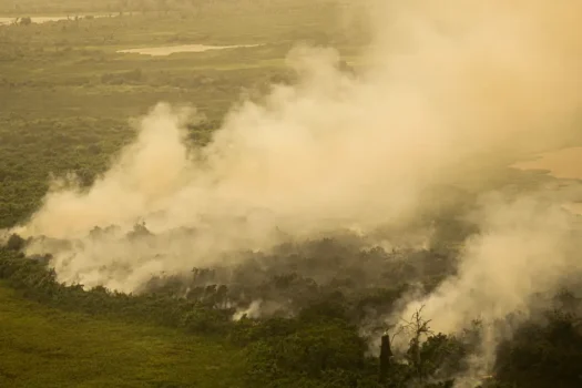 Área queimada no pantanal em 2024 já é 54% maior do que em ano de destruição recorde