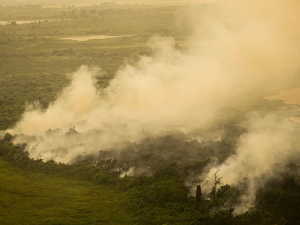 queimada-pantanal