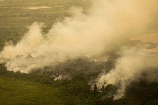 Defesa Civil alerta para risco de incêndio no interior de São Paulo