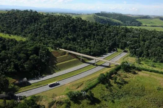 Veja ações sustentáveis do Governo de SP que reduzem impactos ambientais nas rodovias