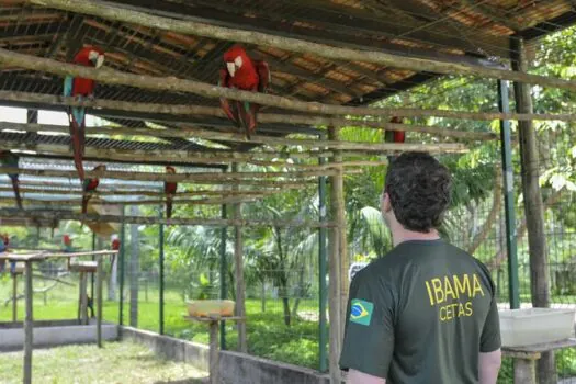 Servidores ambientais federais aprovam greve em 17 estados e no DF