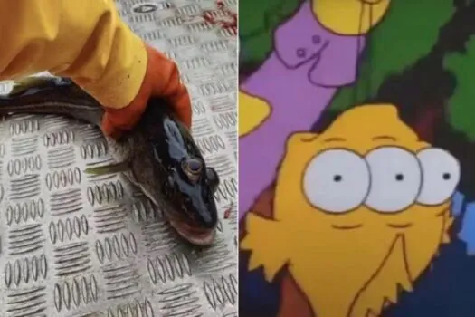 ‘Os Simpsons’ acerta mais uma previsão, e peixe com três olhos é fisgado