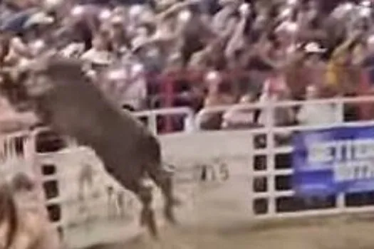 Touro foge de rodeio e invade arquibancada nos EUA