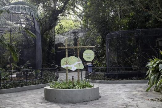 Semana do Meio Ambiente tem programação especial no Jardim Botânico e Zoológico de São Paulo 