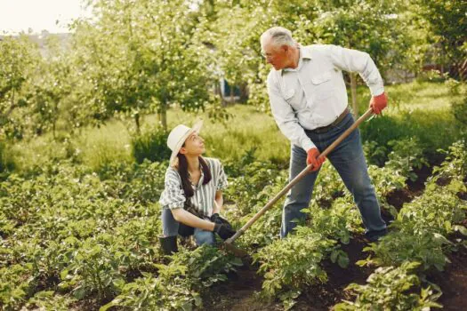 Governo de SP regulariza terras e promove ações que fortalecem a agricultura