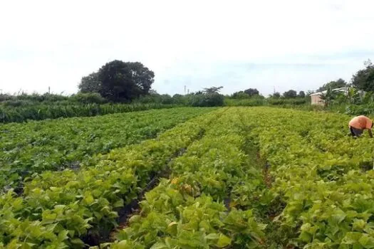 Saiba como o trabalho dos servidores da Agricultura paulista chegam até você